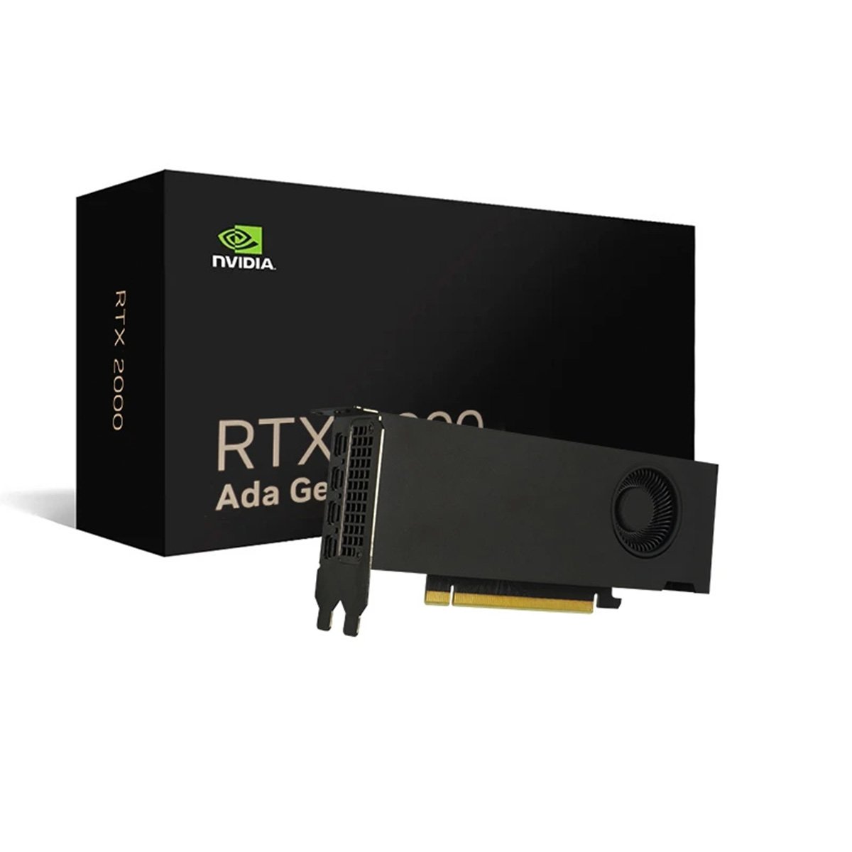 NVIDIA RTX 2000 Ada Generation 16GB GDDR6 顯示卡