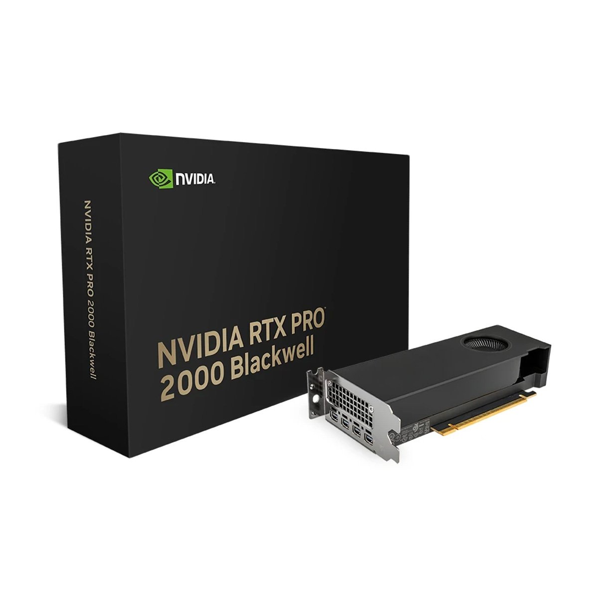 NVIDIA RTX PRO 2000 BLACKWELL LP 16GB GDDR7 專業繪圖卡(RTX PRO 2000 LP 16GB)