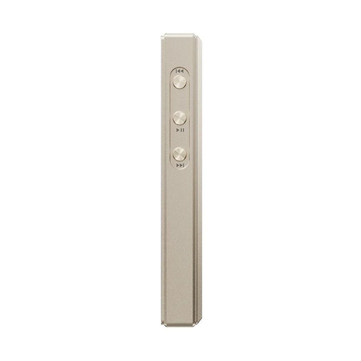 FiiO M21 便攜高清無損音樂播放器(4GB+64GB-鈦金色)