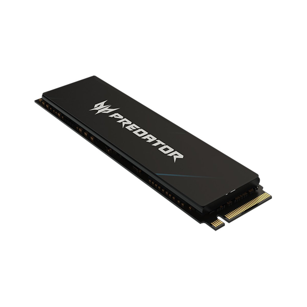 Predator GM7000 NVMe PCIe 4.0 x 4 SSD(1TB)